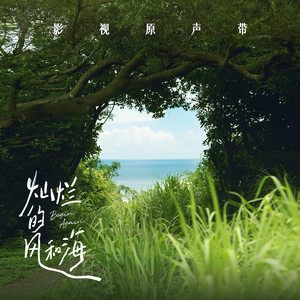 种马精牛评鉴日记
