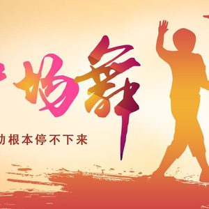 种马精牛评鉴日记
