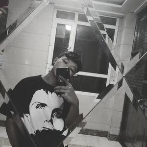 种马精牛评鉴日记
