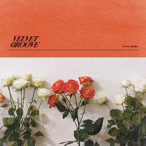 种马精牛评鉴日记
