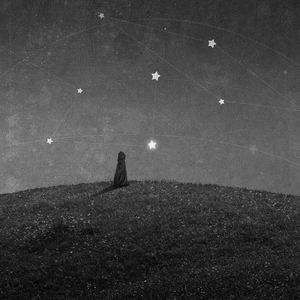 种马精牛评鉴日记
